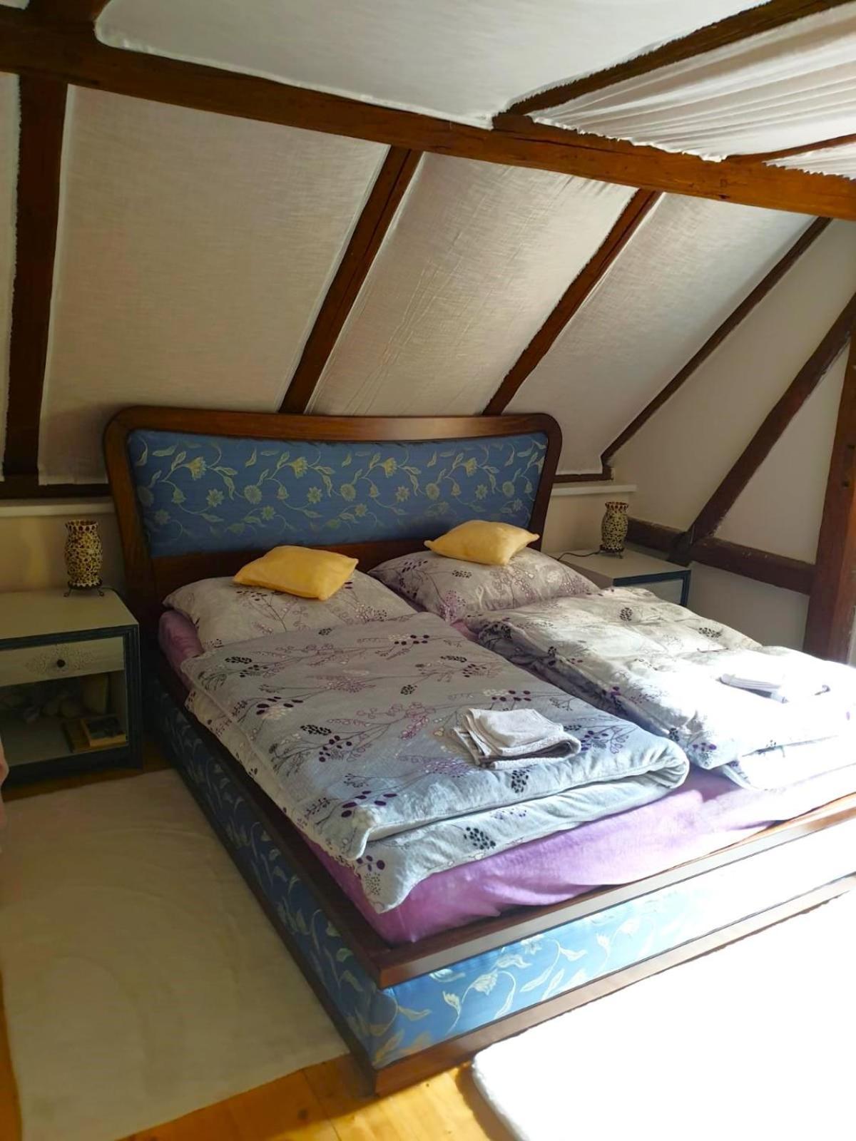 Five Maple Home For Families And Wild Nature Lovers Medenec エクステリア 写真