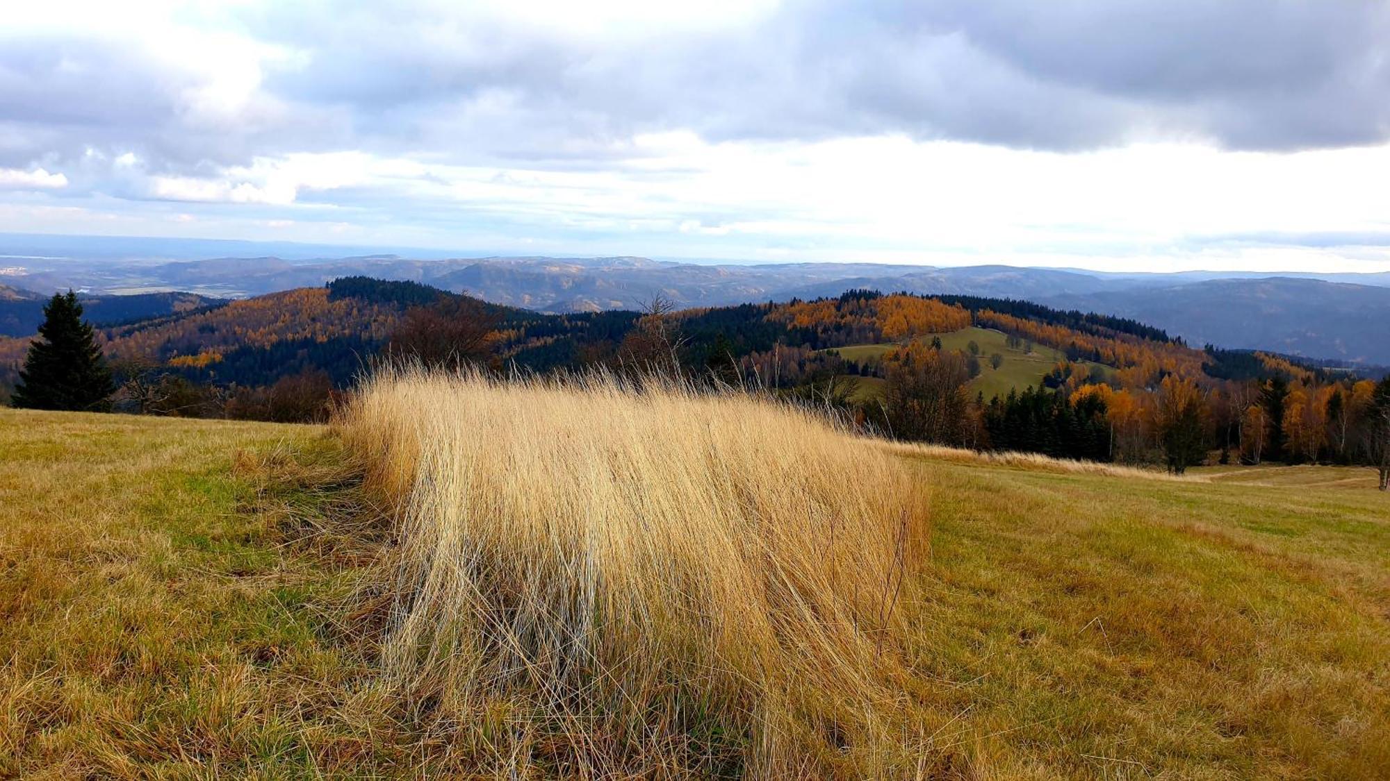 Five Maple Home For Families And Wild Nature Lovers Medenec エクステリア 写真