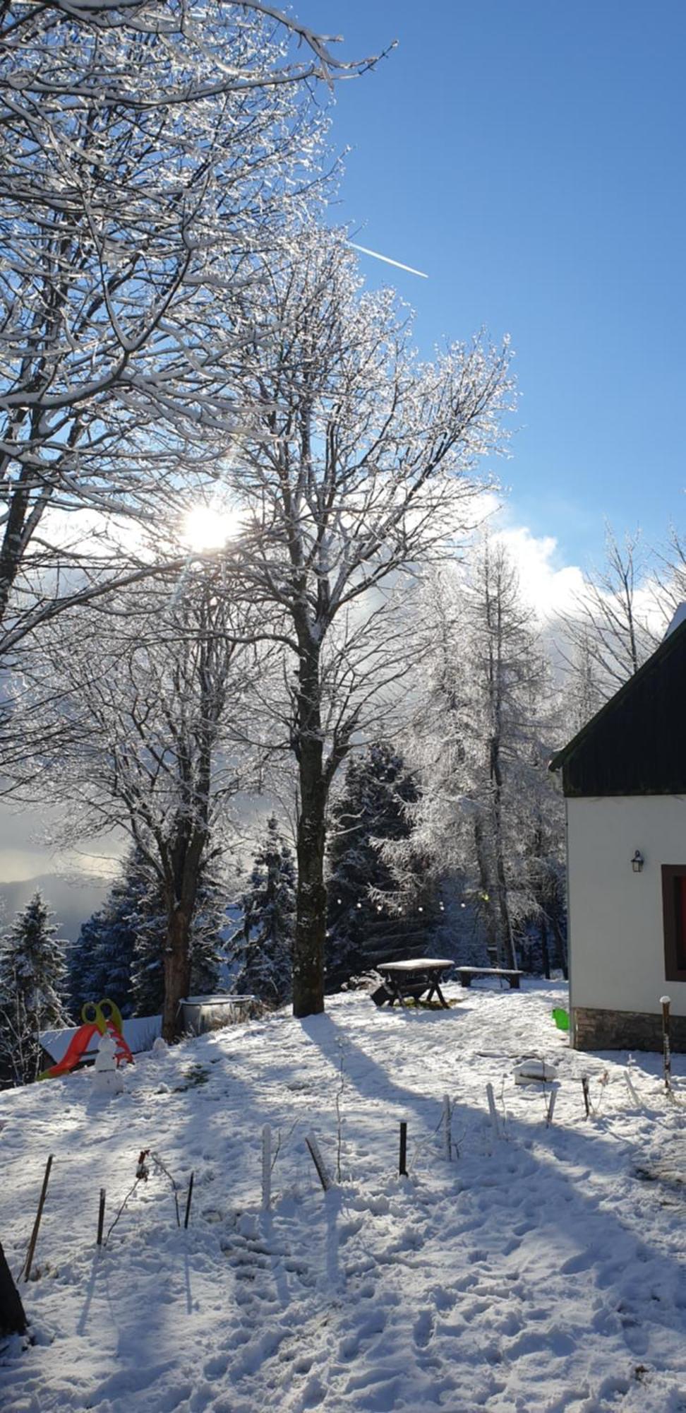 Five Maple Home For Families And Wild Nature Lovers Medenec エクステリア 写真