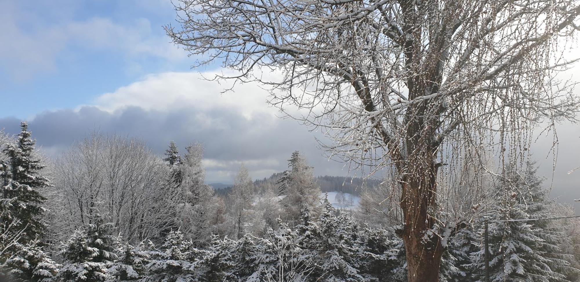 Five Maple Home For Families And Wild Nature Lovers Medenec エクステリア 写真